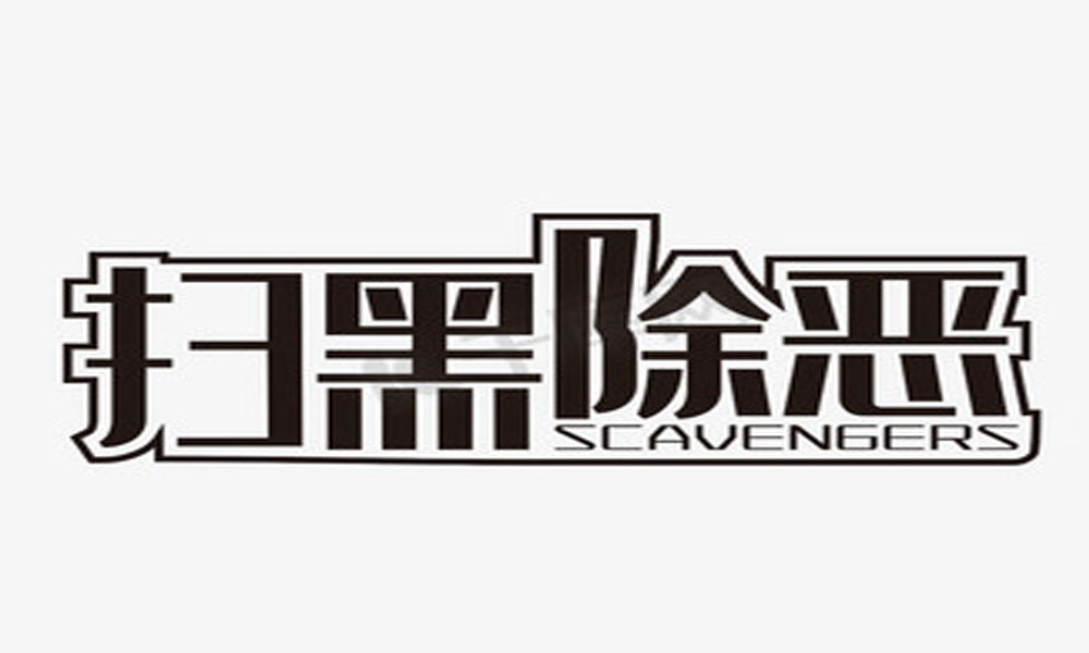 涤暗・守光：扫黑除恶影像志